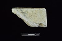 藏品(錛鑿形器)的圖片