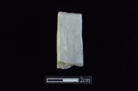 藏品(錛鑿形器)的圖片