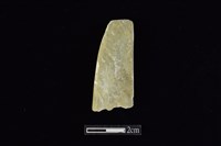 藏品(錛鑿形器)的圖片