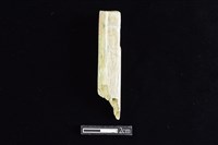 藏品(錛鑿形器)的圖片