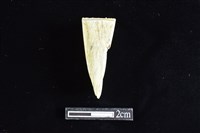 藏品(錛鑿形器)的圖片