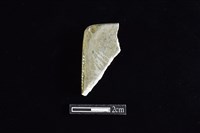 藏品(錛鑿形器)的圖片