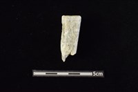 藏品(錛鑿形器)的圖片