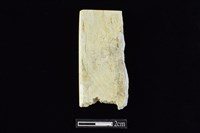 藏品(錛鑿形器)的圖片