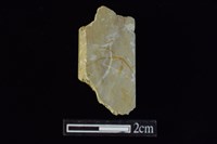 藏品(錛鑿形器)的圖片