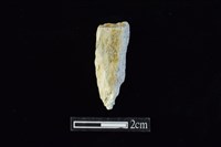 藏品(錛鑿形器)的圖片