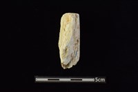 藏品(錛鑿形器)的圖片