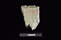 藏品(錛鑿形器)的圖片