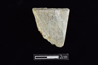 藏品(錛鑿形器)的圖片