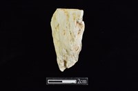 藏品(錛鑿形器)的圖片