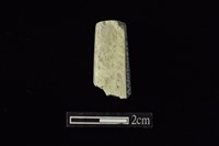 藏品(錛鑿形器)的圖片