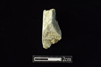 藏品(錛鑿形器)的圖片