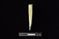 藏品(錛鑿形器)的圖片