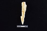 藏品(錛鑿形器)的圖片