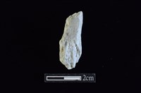 藏品(錛鑿形器)的圖片