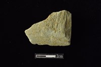 藏品(錛鑿形器)的圖片