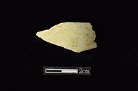 藏品(玉環)的圖片