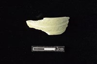 藏品(玉環)的圖片