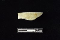 藏品(玉環)的圖片