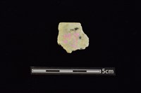 藏品(玉環)的圖片