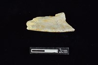 藏品(玉環)的圖片