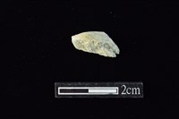 藏品(玉料)的圖片