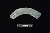 藏品(石環)的圖片