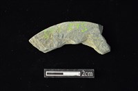 藏品(石環)的圖片