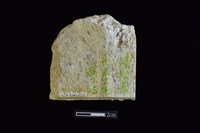 藏品(玉料)的圖片