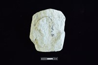 藏品(玉料)的圖片