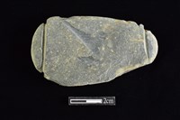 藏品(網墜)的圖片