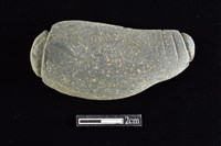 藏品(網墜)的圖片