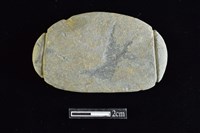 藏品(網墜)的圖片