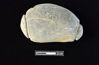 藏品(網墜)的圖片