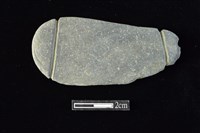 藏品(網墜)的圖片