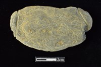 藏品(網墜)的圖片