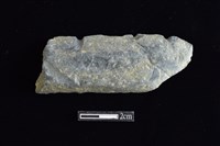 藏品(網墜)的圖片