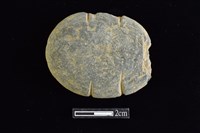 藏品(網墜)的圖片