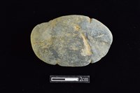 藏品(網墜)的圖片