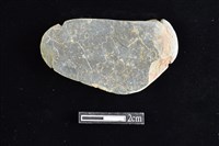 藏品(網墜)的圖片