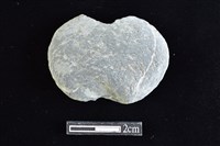 藏品(網墜)的圖片