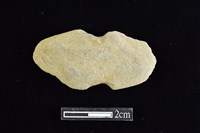 藏品(網墜)的圖片