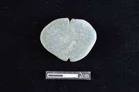 藏品(網墜)的圖片