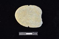 藏品(網墜)的圖片