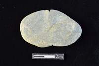 藏品(網墜)的圖片