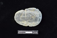 藏品(網墜)的圖片