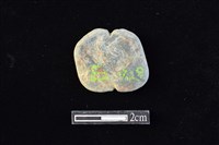 藏品(網墜)的圖片