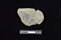 藏品(網墜)的圖片