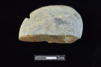 藏品(網墜)的圖片