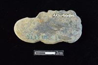 藏品(網墜)的圖片